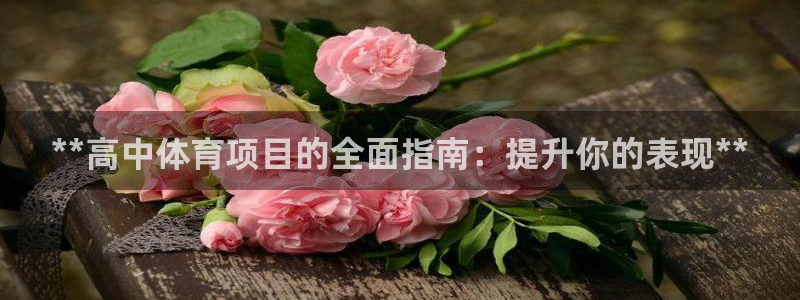 星欧娱乐官网下载