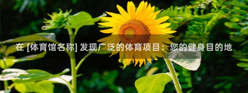星欧娱乐彩票软件下载官网