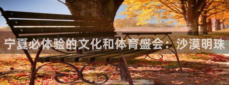 星欧娱乐银行卡怎么登录
