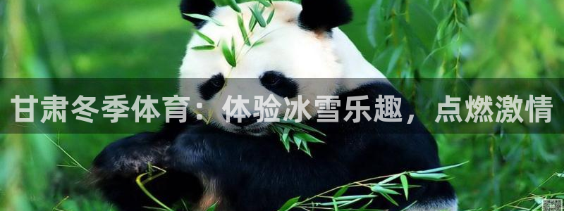 星欧娱乐扣款流程详解图片大全