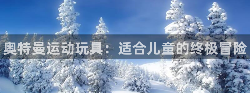 星奥娱乐集团