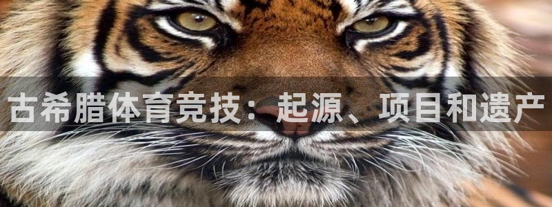 星欧娱乐app最新版本更新内容下载
