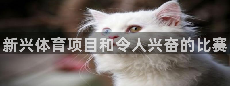 星欧娱乐官网