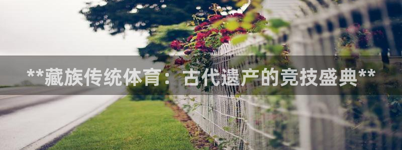 星欧娱乐平台怎么样