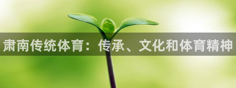 星欧娱乐公司简介