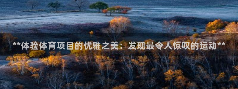 星欧娱乐测速