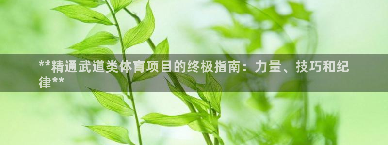 星欧娱乐扣款流程详解视频
