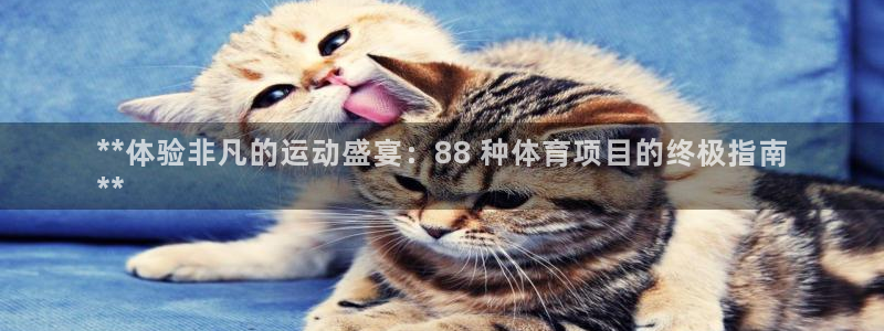 星欧娱乐的官方版本更新内容有哪些