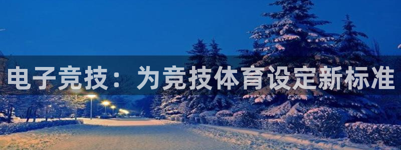 星欧娱乐联售后服务评价