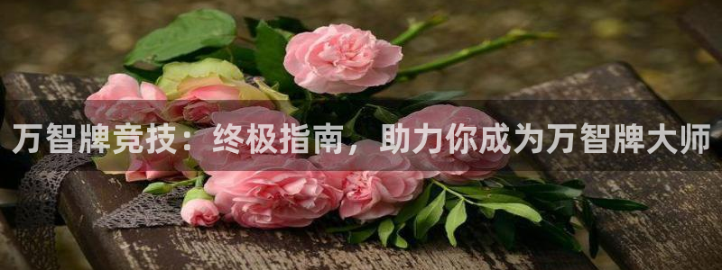 星欧娱乐app最新版本更新内容是什么