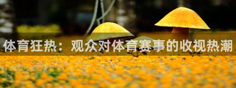 星欧娱乐平台测速线路设置