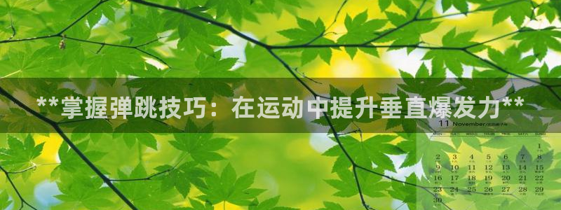 星欧娱乐公司电话号码多少