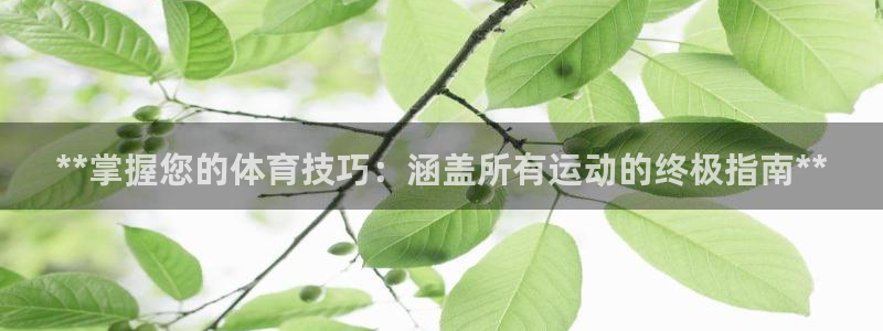 星奥娱乐集团股份有限公司怎么样