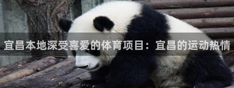 星欧娱乐是正规平台吗可靠吗