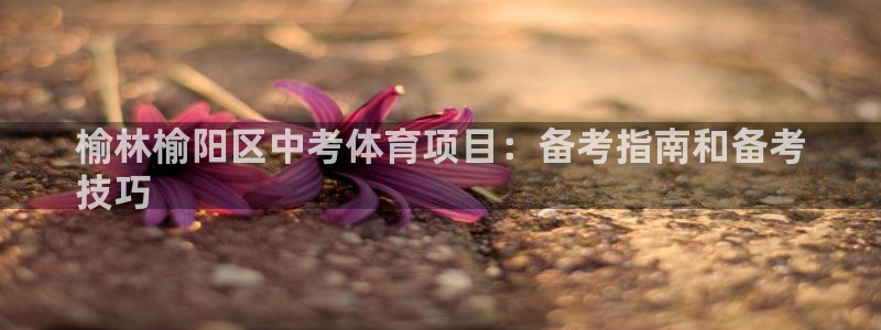 星欧娱乐公司简介