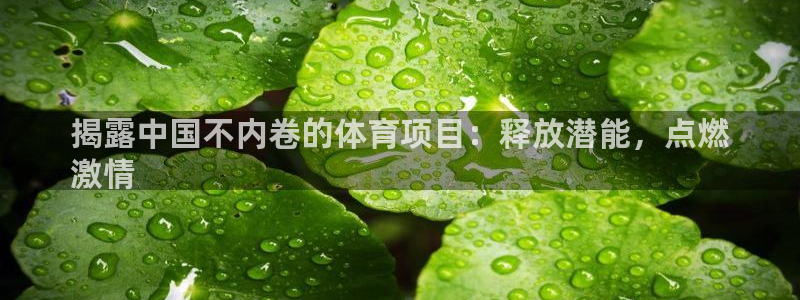 星欧娱乐的创始人背景故事是什么