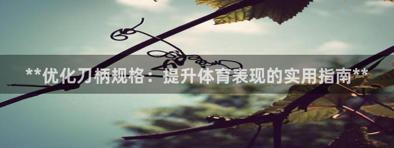 星欧娱乐扣款流程详解图高清