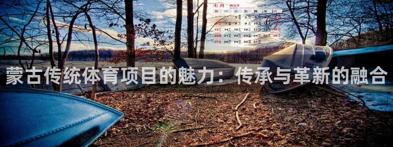 星欧娱乐最建议买的三个产品有哪些内容