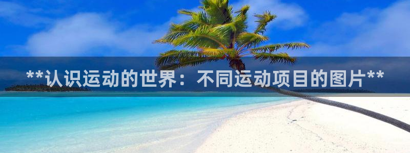 星欧娱乐的官方版本更新内容有哪些