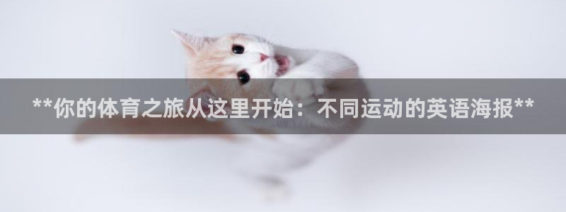 江苏星奥娱乐有限公司