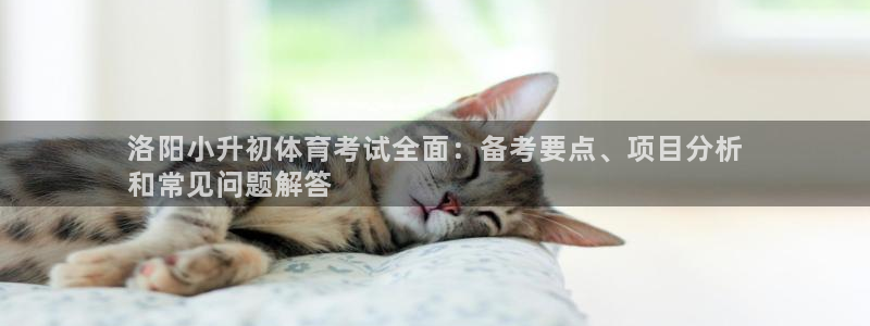 星欧娱乐挂机赚钱软件