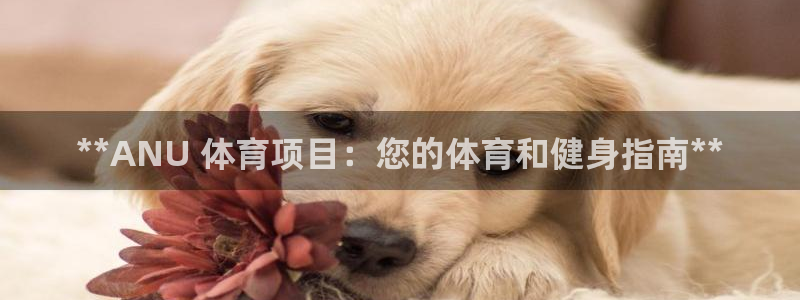 星欧娱乐扣款流程详解视频教程