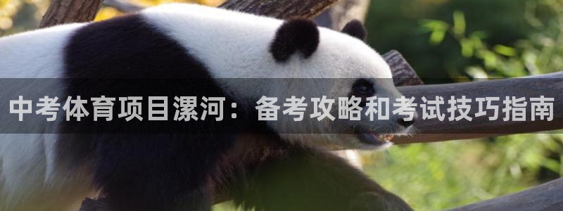 星欧娱乐属于什么档次的公司名称