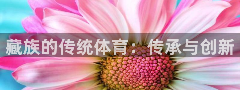 星欧娱乐属于什么档次