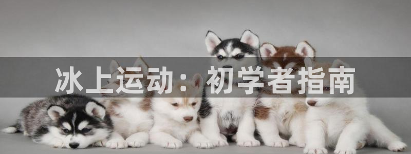 星欧娱乐官网首页下载