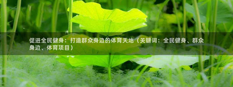 星欧娱乐扣款时间查询方法怎么查不了