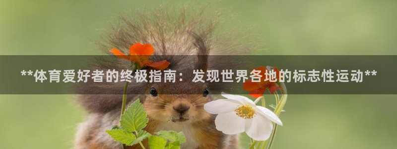 星欧娱乐官方客服联系方式是什么