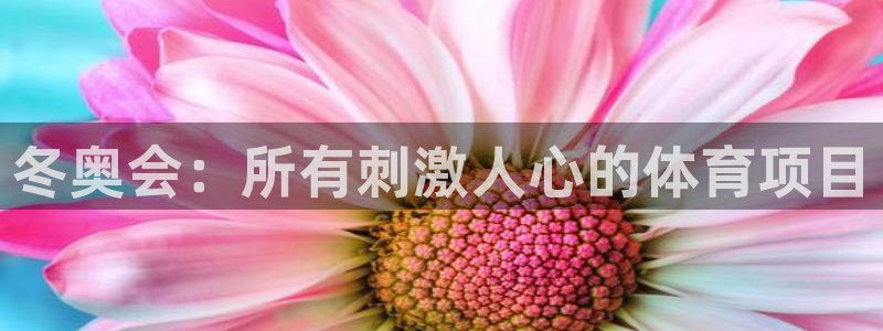 星欧娱乐信存手机版下载