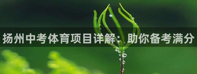 星欧娱乐彩票软件下载安卓