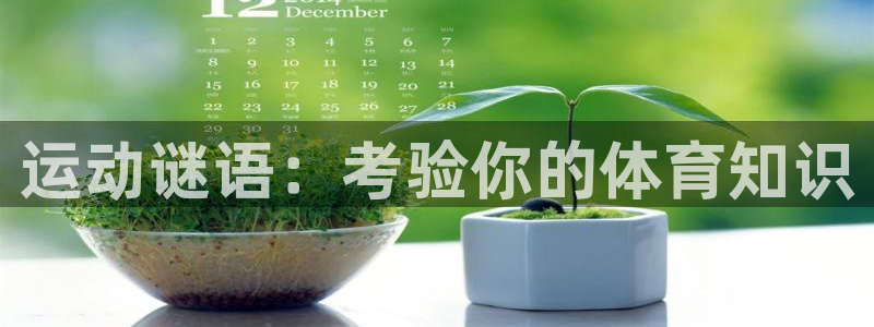 星欧娱乐官网下载