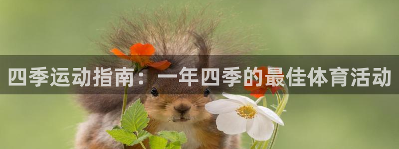星欧娱乐联游戏评测