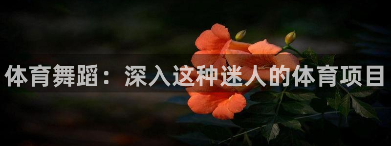 星欧娱乐最建议买的三个产品是什么意思