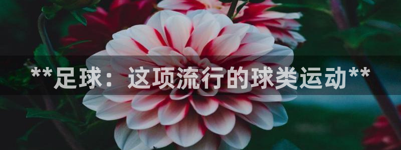 星欧娱乐工客服电话24小时人工服务