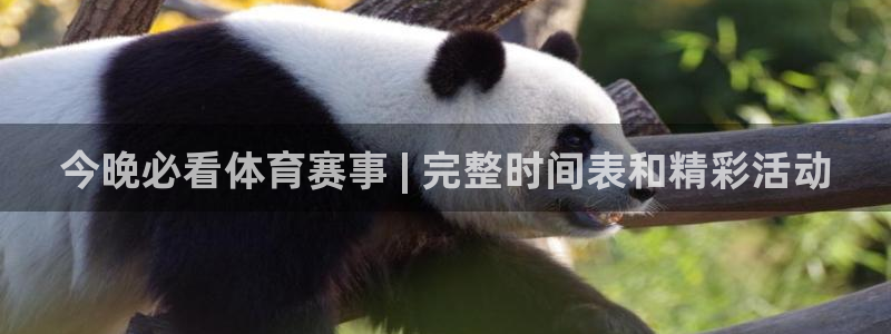 星欧娱乐雀V是什么平台