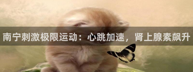 江苏星奥娱乐有限公司招聘