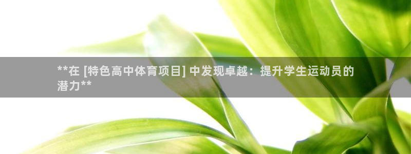 星娱乐文化传媒