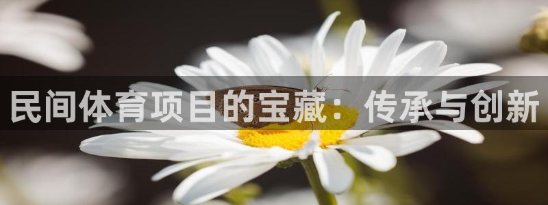 永韬星娱乐