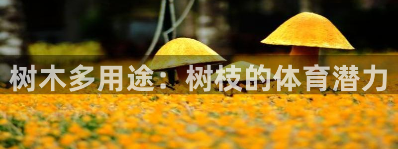 星奥娱乐集团是国企吗