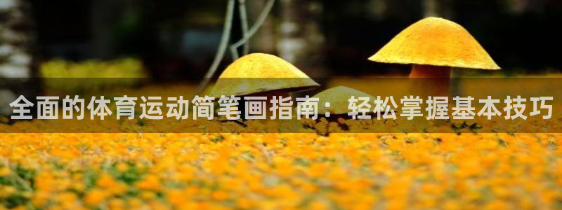 星奥娱乐集团是国企吗