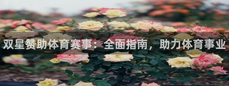 星欧娱乐属于什么档次的网站啊
