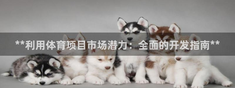 星娱乐online刘亦菲