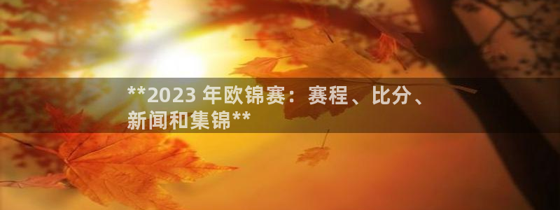 江苏星奥娱乐有限公司