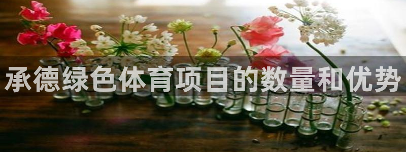 星欧娱乐总代.直开.中国