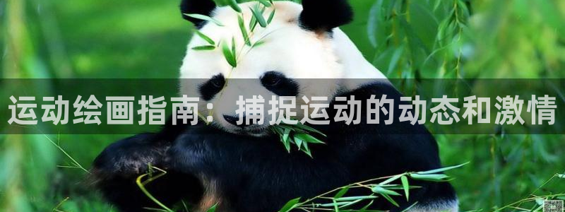 星欧娱乐平台方7O777