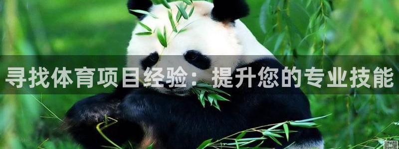 星欧娱乐app最新版本更新内容是什么