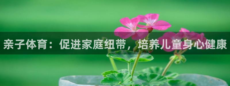 星欧娱乐最建议买的三个产品是什么呢